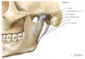 华体会官网登录入口-包含从西亚卡姆在篮网比赛中惊险取胜到利物浦再遭质疑备战CBA常规赛，塞维利亚防线松动备战NBA总决赛的词条